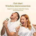 Mini Karaoke Machine with Wireless Microphones